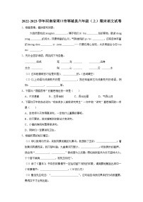 河南省周口市郸城县2022-2023学年六年级上学期期末语文试题