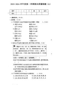 安徽省阜阳市颍上县2023-2024学年六年级语文上学期期末质量试卷