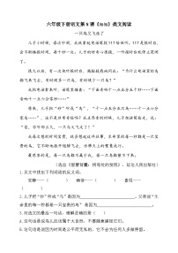 人教部編版六年級下冊匆匆精練