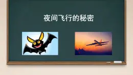 部编版小学语文四年级上册6夜间飞行的秘密 课件