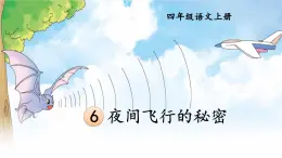 编版版语文四年级上册 6 夜间飞行的秘密 第一课时 同步课件