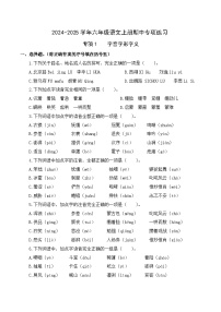 專項1 字音字形字義- 2024-2025學年六年級語文上冊期中專項練習 統(tǒng)編版