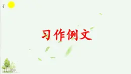 《习作例文  爸爸的计划》精品课件