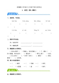 小學(xué)語文統(tǒng)編版（2024）三年級(jí)下冊(cè)荷花第1課時(shí)精練