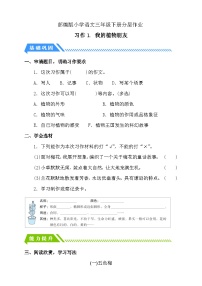 小學(xué)統(tǒng)編版（2024）習(xí)作：我的植物朋友一課一練