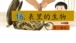 【教學(xué)評一體化設(shè)計】統(tǒng)編版小學(xué)語文六年級下冊16.表里的生物課件兩課時