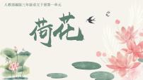 小學語文統(tǒng)編版（2024）三年級下冊荷花優(yōu)秀ppt課件