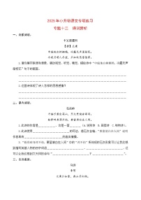 【復(fù)習(xí)篇】專項(xiàng)十二 詩詞賞析-2025年小升初語文專項(xiàng)練習(xí)