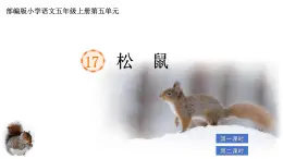 部編版小學(xué)語文五年級上冊第五單元17《松鼠》課件（2課時）+教案（2課時）+課文朗讀（音頻）