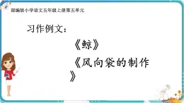 部編版小學(xué)語文五年級上冊第五單元習(xí)作例文《鯨》《風(fēng)向袋的制作》課件（1課時）+教案（1課時）