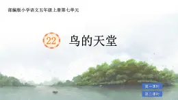 部編版小學(xué)語文五年級上冊第七單元22《鳥的天堂》課件（2課時）+教案（2課時）+課文朗讀（音頻）