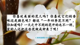 人教版語文三年級下冊第四單元第13課《花鐘》課件PPT