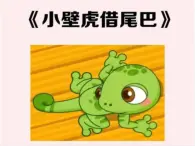 第八單元20《小壁虎借尾巴》課件-2024-2025學(xué)年統(tǒng)編版語文一年級下冊