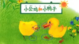 第三單元4+小公雞和小鴨子+課件-2024-2025學(xué)年統(tǒng)編版語文一年級下冊