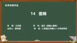 八一小學黎學英蜜蜂課件 蜜蜂