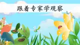 【任务型】部编版语文四上 11《蟋蟀的住宅》课件+教案+特色作业（无答案）+音视频素材