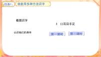 語文一年級上冊（2024）口耳目手足精品說課課文課件ppt