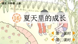 24人教統(tǒng)編版-小學(xué)六年級(jí)上冊(cè)第五單元16 夏天里的成長(zhǎng) （教案+配套課件）