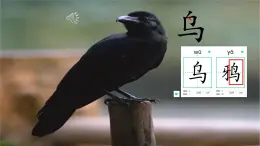 小學(xué)  語(yǔ)文  統(tǒng)編版（2024）  一年級(jí)上冊(cè)（2024）  第八單元 閱讀9 烏鴉喝水 課件