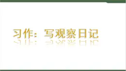 《习作：写观察日记》课件