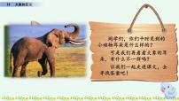 小学语文人教部编版二年级下册19 大象的耳朵试讲课ppt课件