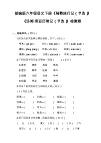 2021學(xué)年第二單元7* 湯姆·索亞歷險(xiǎn)記（節(jié)選）課后作業(yè)題