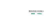 浙教版六年級(jí)上冊4、圖形的放大和縮小說課課件ppt
