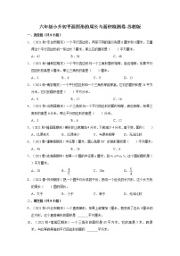 【小升初真題匯編】六年級(jí)小升初平面圖形的周長(zhǎng)與面積檢測(cè)卷-蘇教版