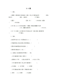 小学数学北京版六年级上册八 总复习精品精练