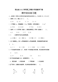 广东省清远市阳山县2021-2022学年六年级下学期数学期中综合练习题