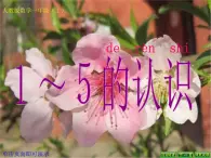 《1—5的認(rèn)識(shí)》教學(xué)課件 北京版一年級(jí)上冊(cè)數(shù)學(xué)