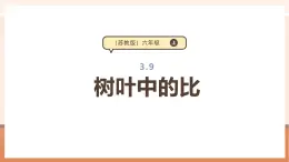 【大單元核心素養(yǎng)】蘇教版數(shù)學(xué)六上3.9《樹(shù)葉中的比》（課件+教案+大單元整體教學(xué)設(shè)計(jì)）