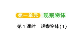 小學(xué)數(shù)學(xué)新人教版三年級(jí)上冊(cè)第一單元第一課時(shí) 觀察物體（1）作業(yè)課件（2025秋）