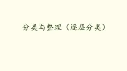 1.3 分類與整理（逐層分類）課件 人教版數(shù)學(xué)二年級上冊