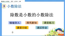 3.3 《除數(shù)是小數(shù)的小數(shù)除法》 課件