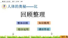 7.5 《人體的奧秘---比》回顧整理 課件