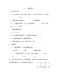 北京版六年級(jí)上冊(cè)2. 圓的周長練習(xí)題