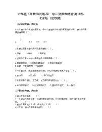 小学数学北京版六年级下册圆柱与圆锥同步达标检测题