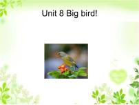 小学英语北师大版 (一年级起点)三年级下册Unit 8 Big bird教学演示课件ppt