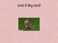 小学英语北师大版 (一年级起点)三年级下册Unit 8 Big bird说课ppt课件