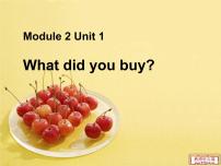 小学英语外研版 (三年级起点)五年级上册Module 2Unit 1 What did you buy?教学ppt课件