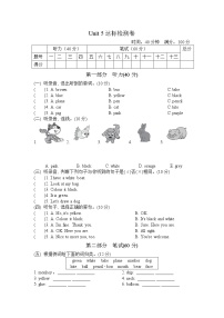 人教精通版三年級上冊Unit 5 What colour is it?綜合與測試復(fù)習(xí)練習(xí)題