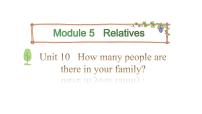 教科版 (广州)三年级下册Unit 10 How many people are there in your family?教学演示课件ppt