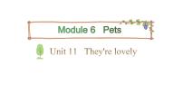 小学英语教科版 (广州)三年级下册Module 6 PetsUnit 11 They’re lovely教学ppt课件