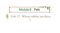 小学英语教科版 (广州)三年级下册Unit 10 Whose rabbits are these?多媒体教学课件ppt