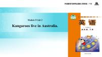 外研版 (一年级起点)四年级下册Unit 2 Kangaroos live in Australia.教课内容ppt课件