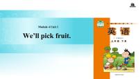 小学英语外研版 (一年级起点)三年级下册Unit 1 We'll pick fruit.课文配套ppt课件