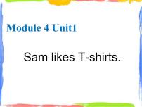 小学英语外研版 (一年级起点)二年级上册Unit 1 Sam likes T-shirts.授课ppt课件
