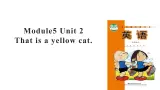 Module 5 Unit 2 This is a yellow cat 课件