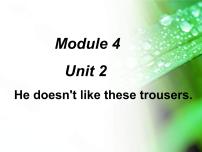 外研版 (一年級(jí)起點(diǎn))二年級(jí)上冊(cè)Unit 2 He doesn't like these trousers課文配套課件ppt